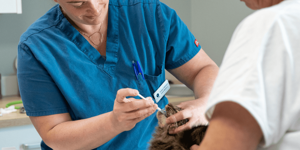 soins vétérinaires