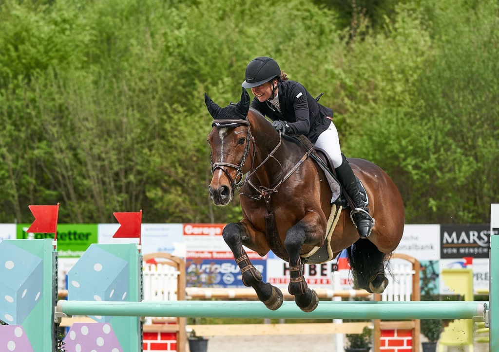 horse jumping 4416634 1280 1