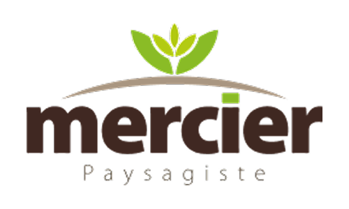 mercier thumbnail