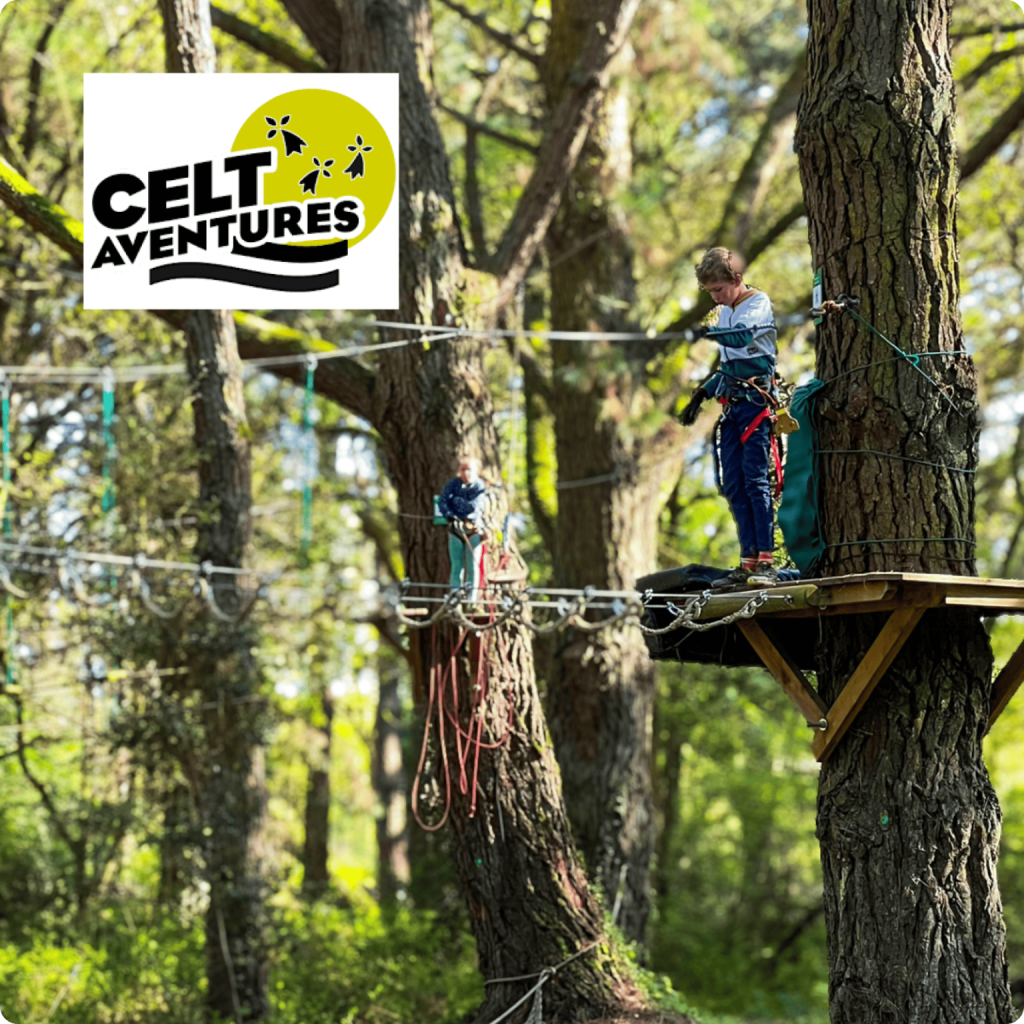 group 39623 3 1 1536x1536