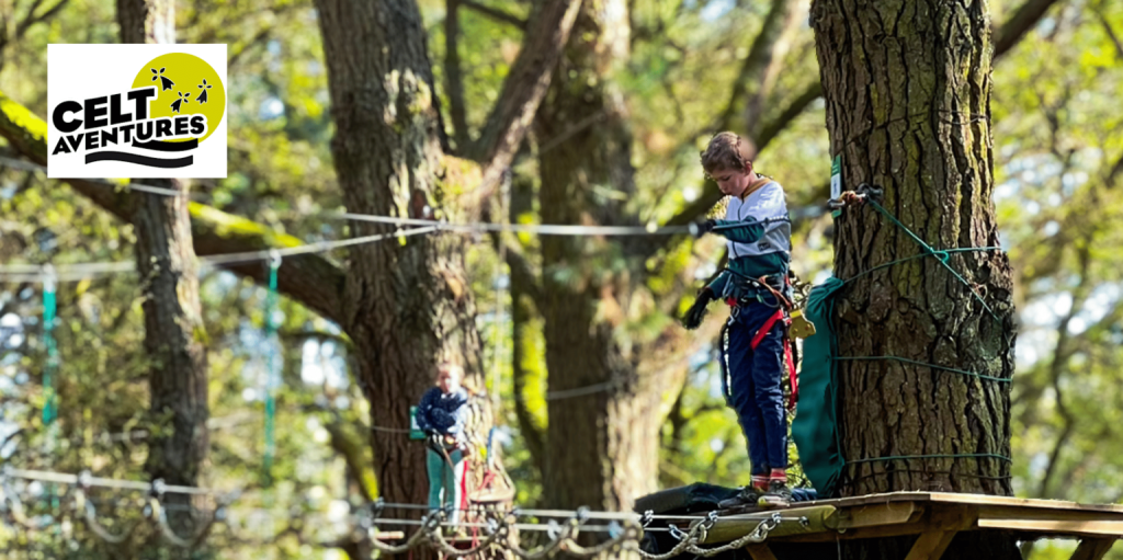 instagram post 264 1 1536x767