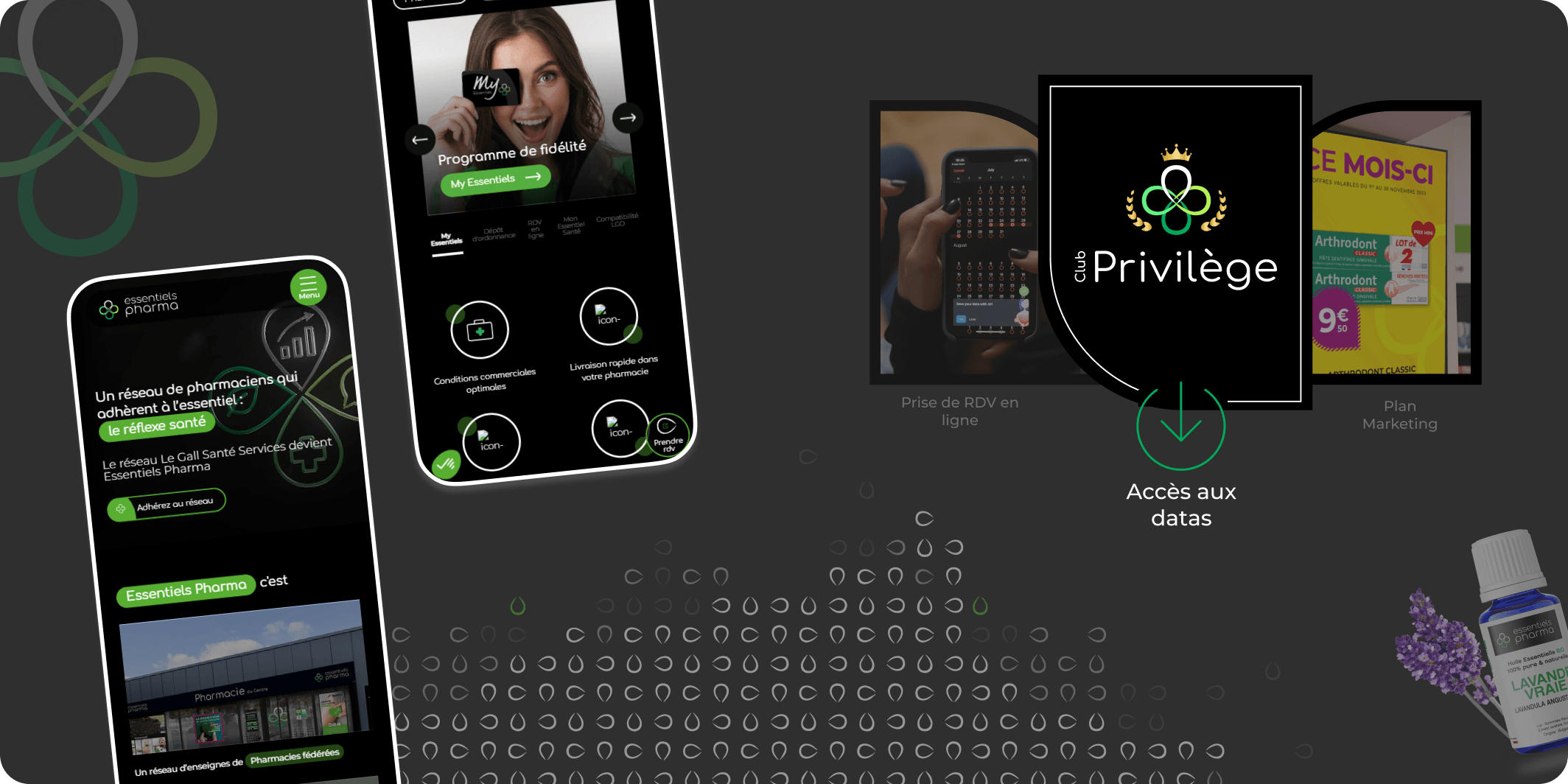 Maquettes du site web