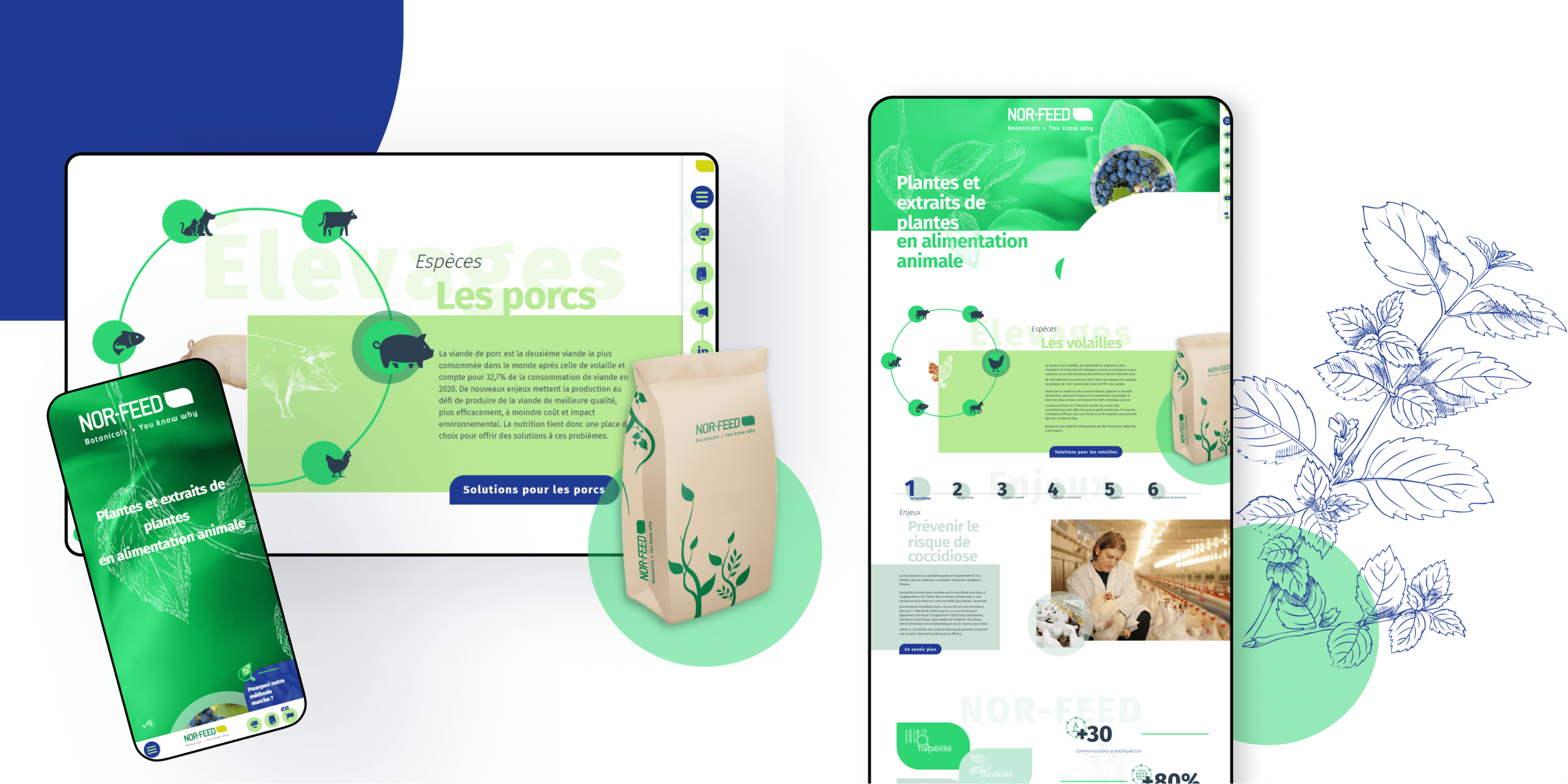 Maquettes du site de Norfeed