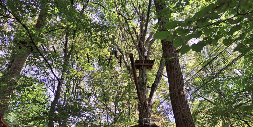 chichoune accrobranche 3