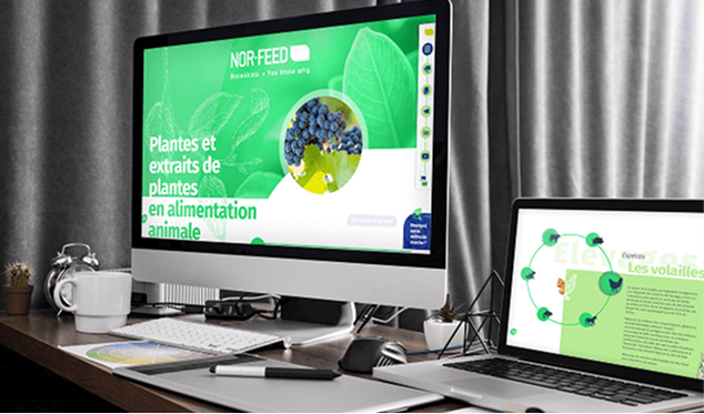 Maquettes du site de Norfeed