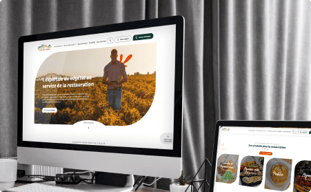 Maquettes du site de Ros&eacute;e des Champs