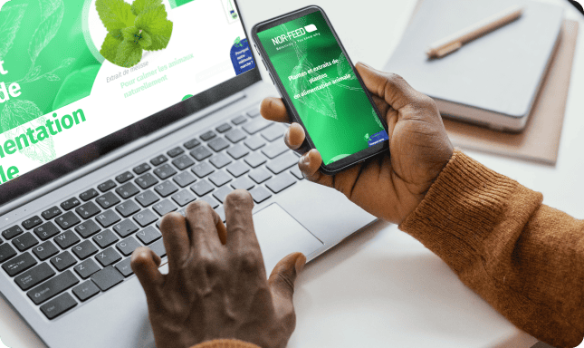 Site web de Norfeed